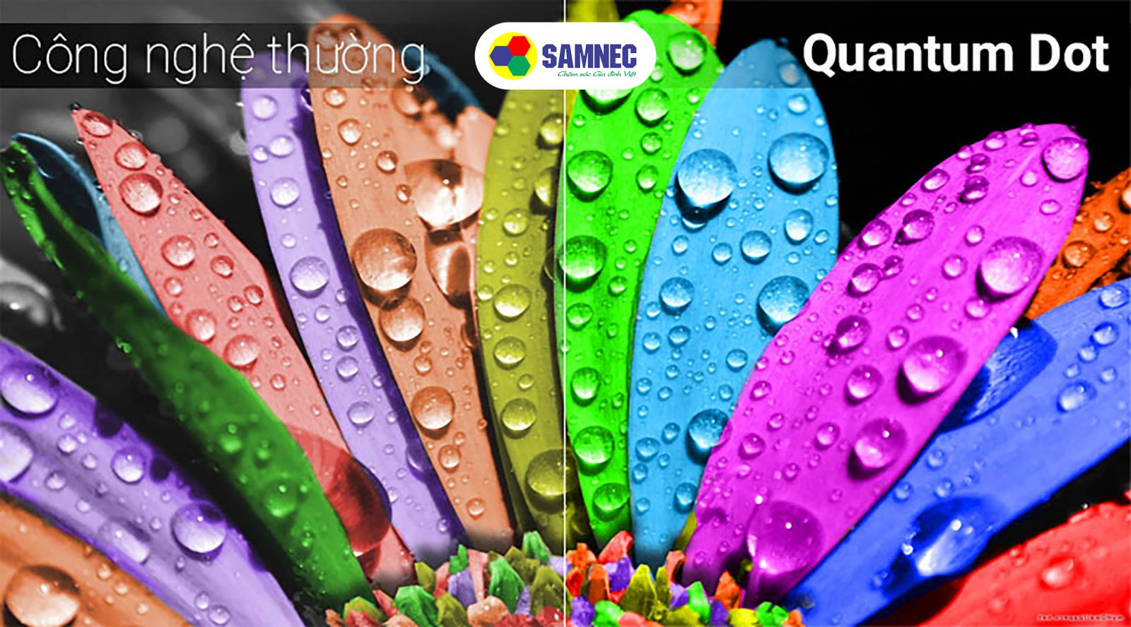 Công nghệ Quantum Dot tivi Samsung