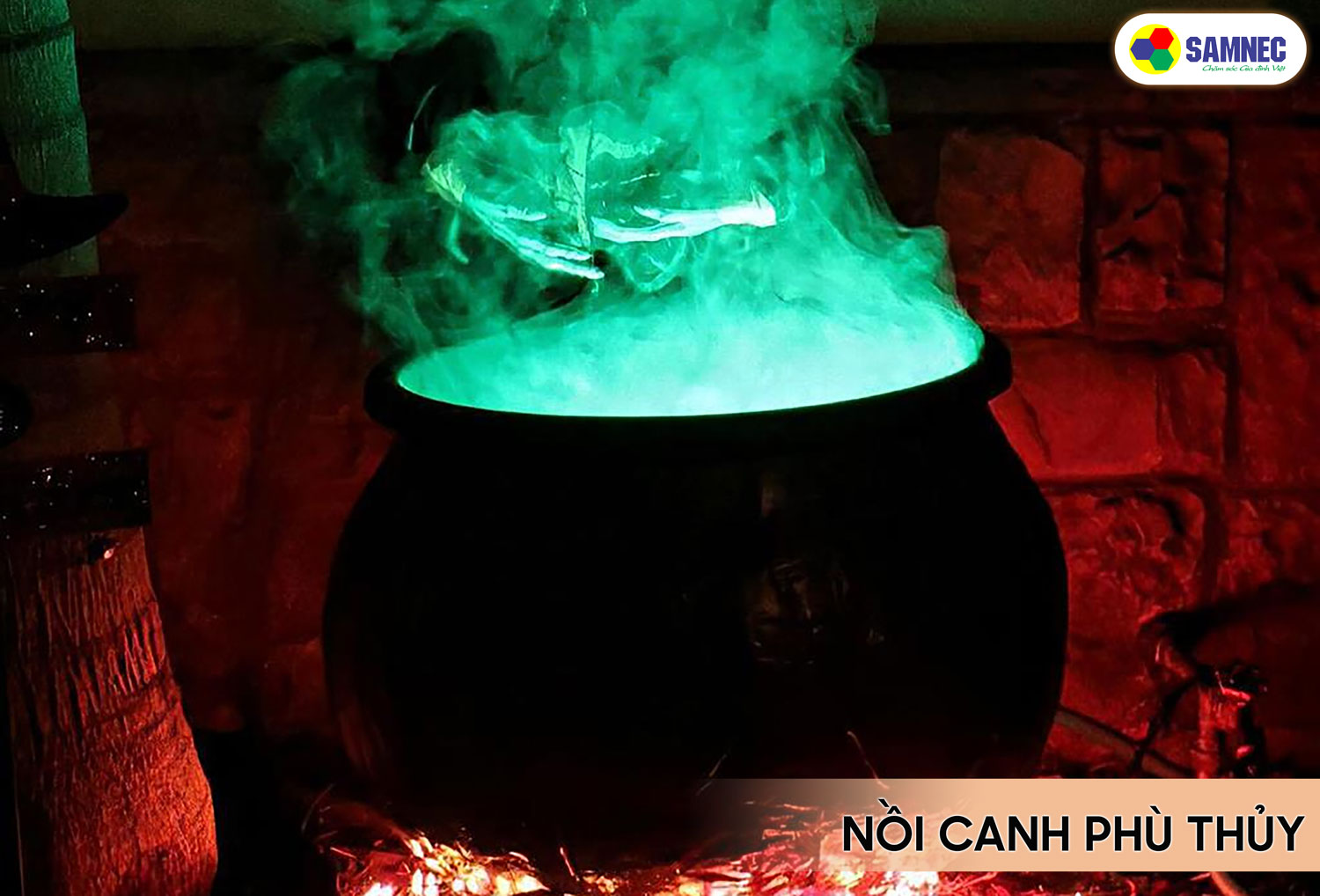 Nồi canh phù thủy