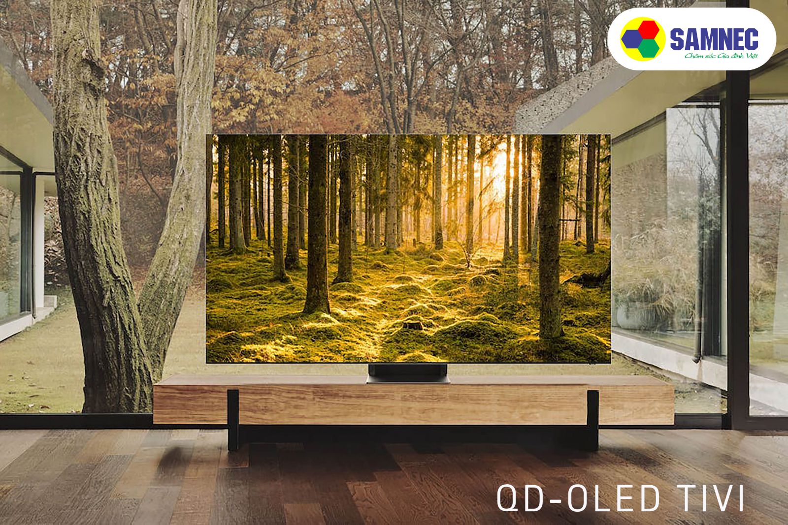 Tivi Qd-oled
