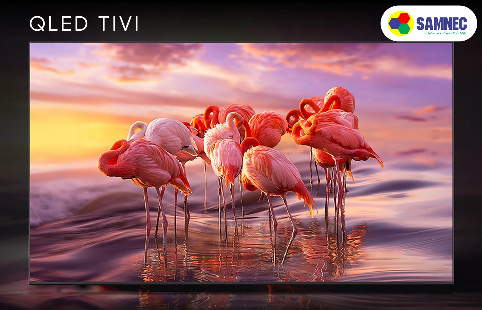 Ưu điểm màn hình Qled