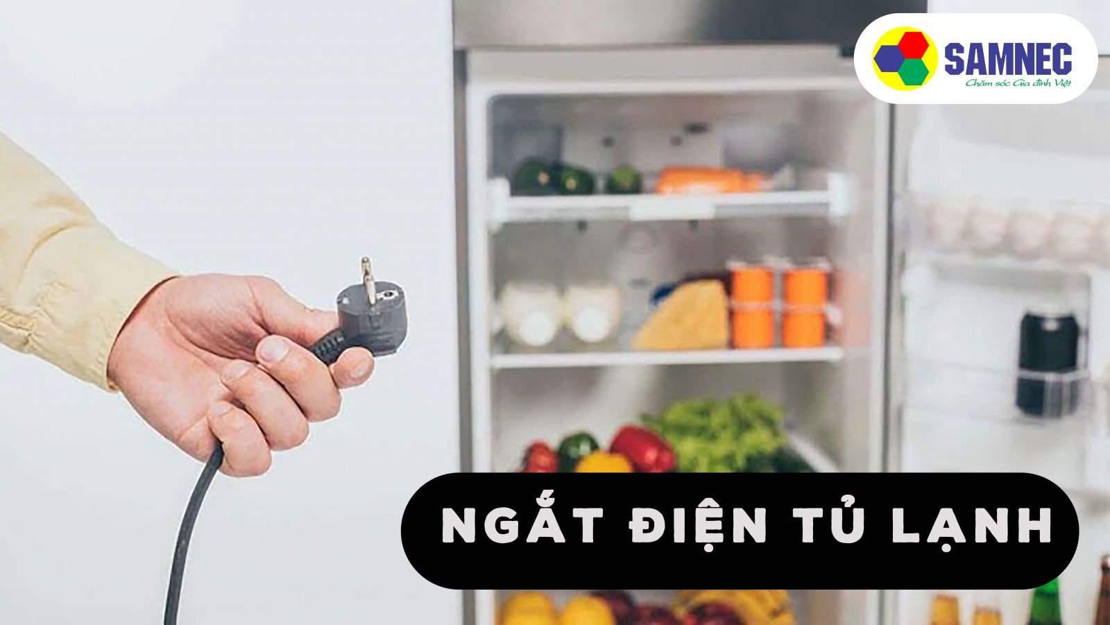 Ngắt điện tủ lạnh