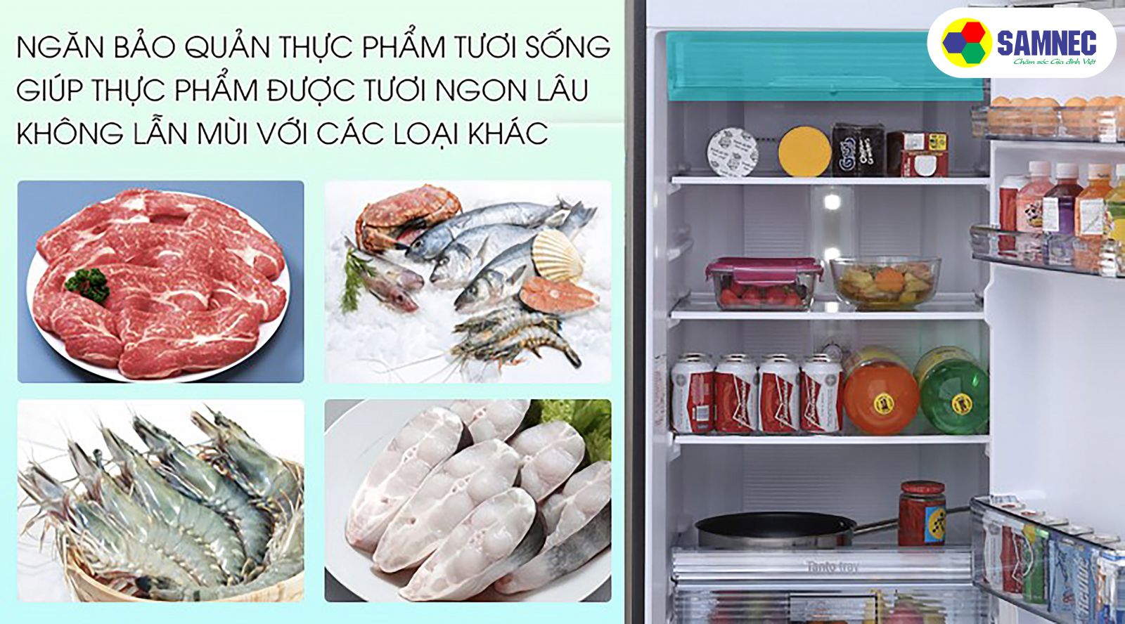 Bảo quản thực phẩm trong tủ lạnh