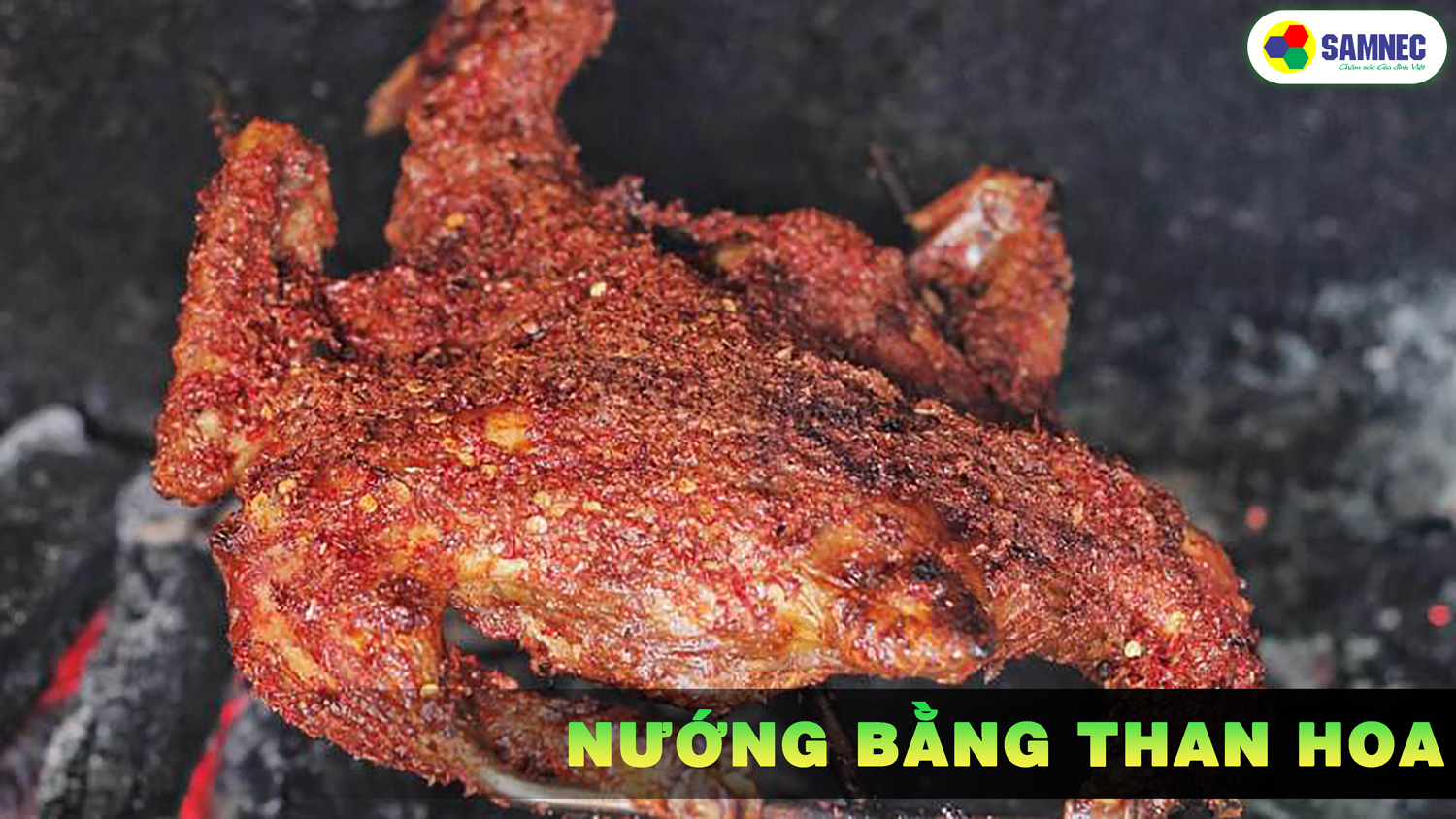 Sử dụng than hoa