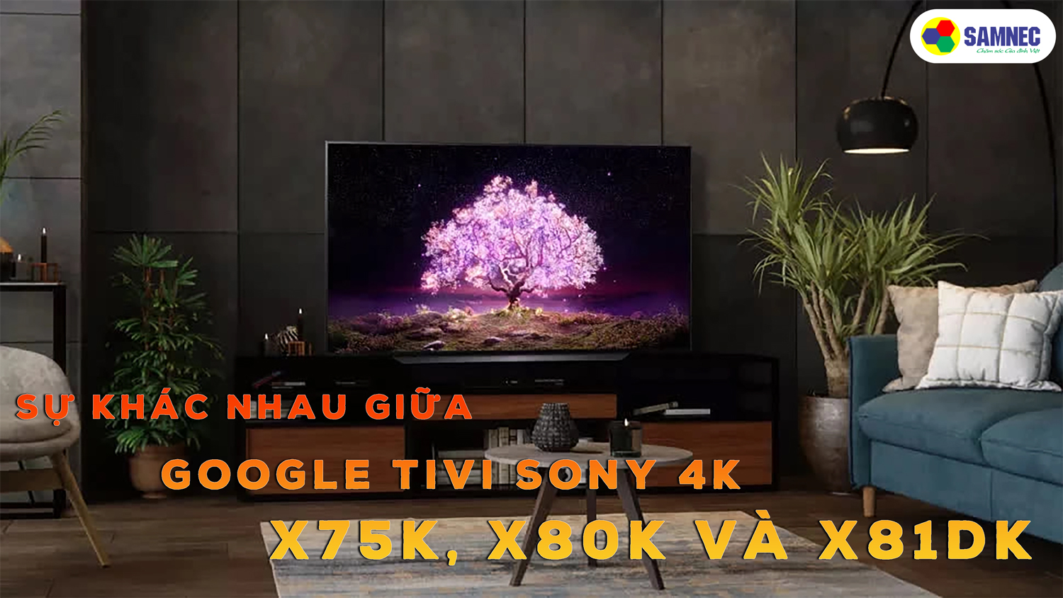 Phân biệt sự khác nhau giữa các mẫu Google Tivi Sony 4K X75K, X80K, X81DK.