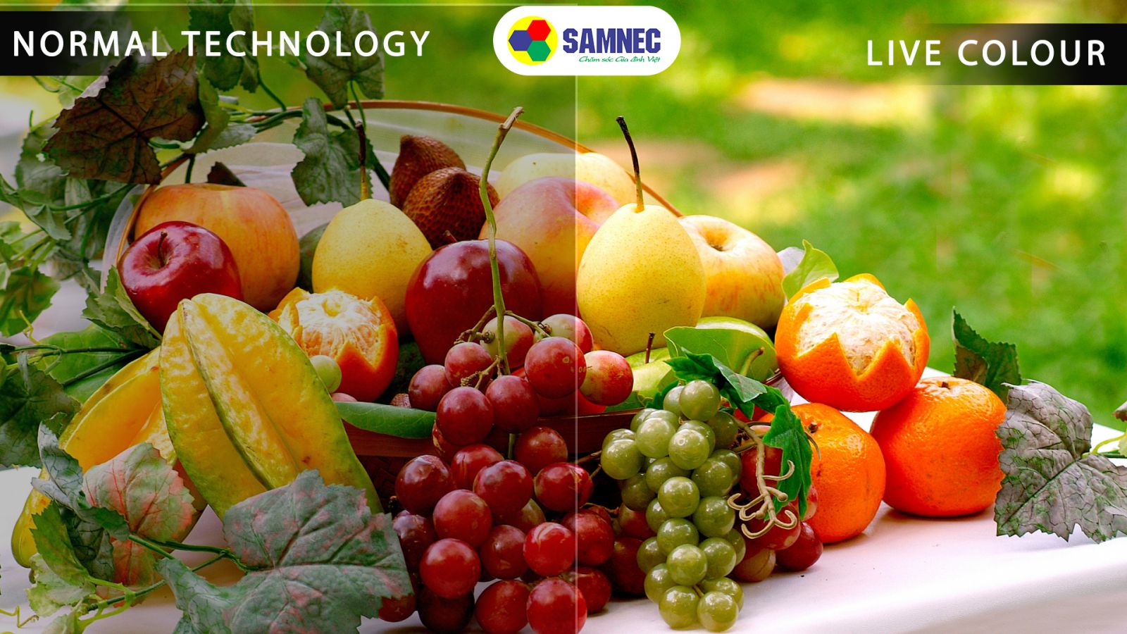 Công nghệ màu Live Colour