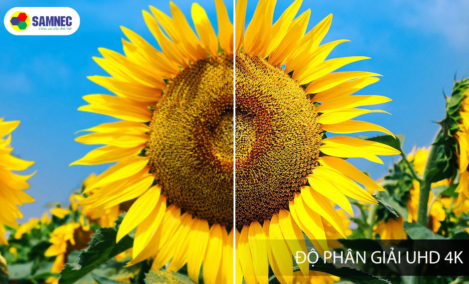 Độ phân giải UHD 4K