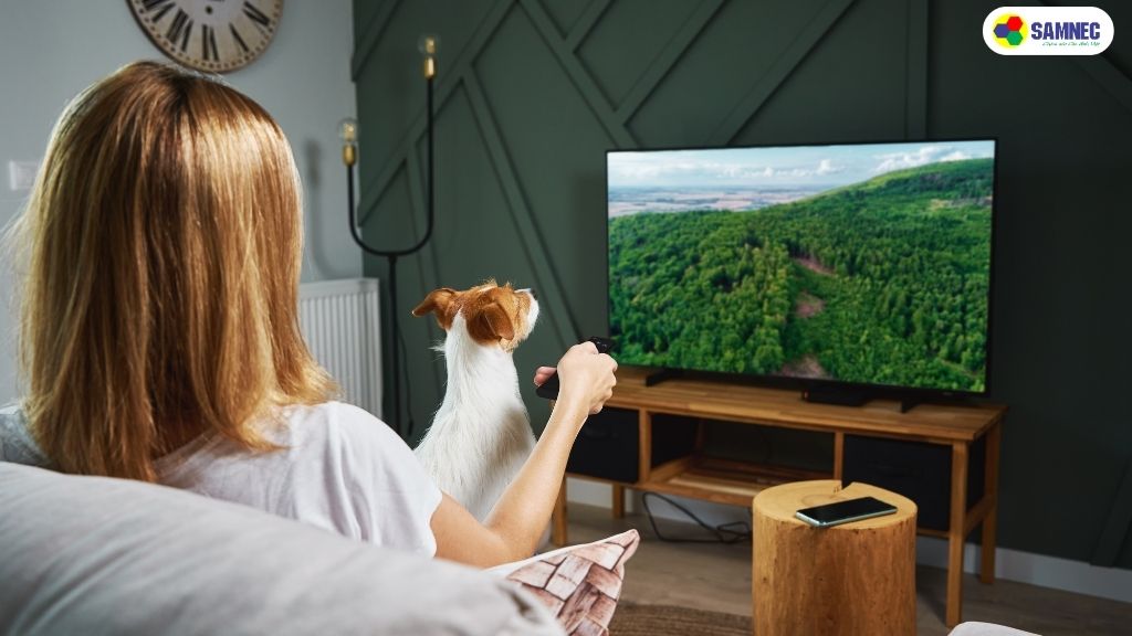 Lợi ích khi phản chiếu màn hình Iphone lên Tivi Sony