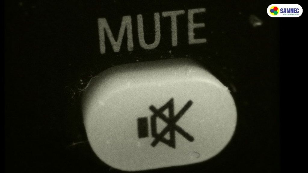 Do ấn nhầm nút "Mute"