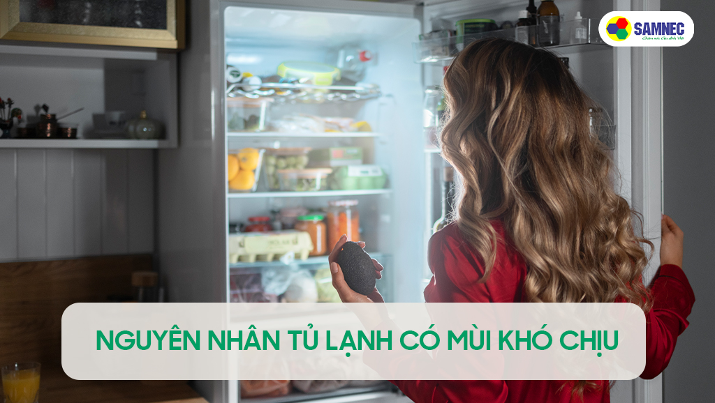 Nguyên nhân tủ lạnh có mùi khó chịu