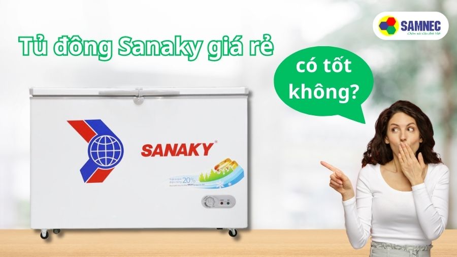 Tủ đông Sanaky giá rẻ có tốt không?
