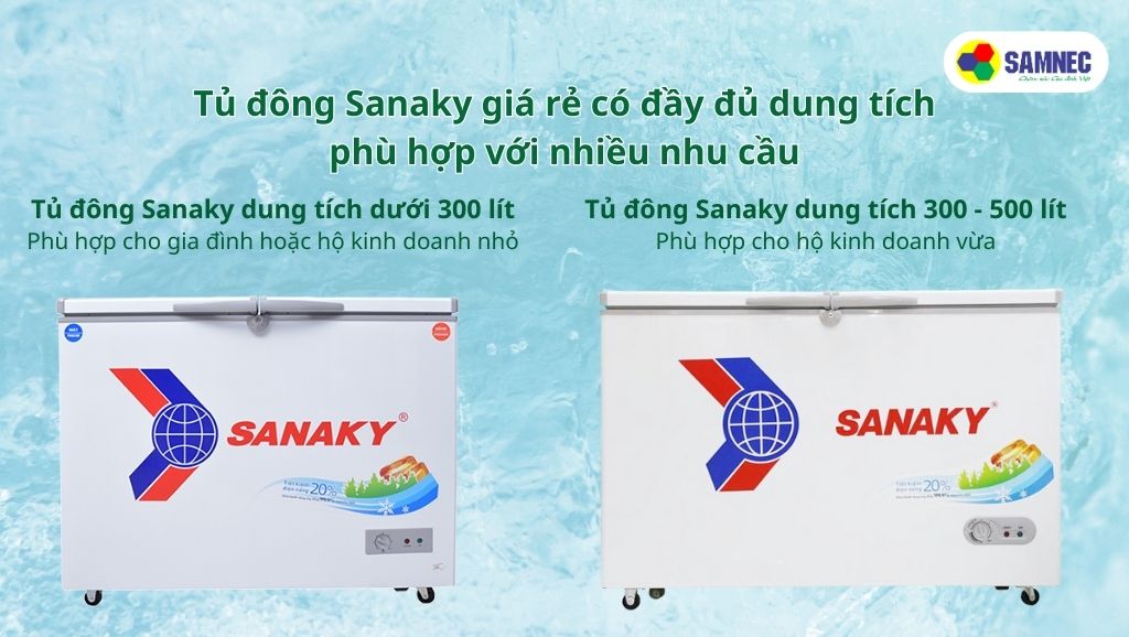 Tủ đông Sanaky giá rẻ có đầy đủ dung tích phù hợp với nhiều nhu cầu