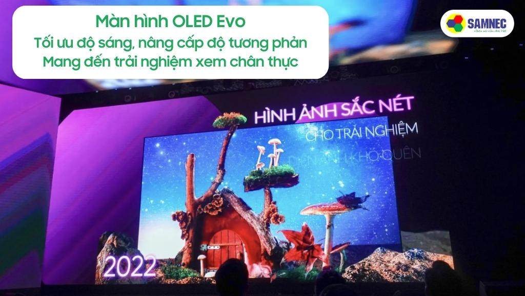 Màn hình OLED Evo của Tivi LG G1PTA