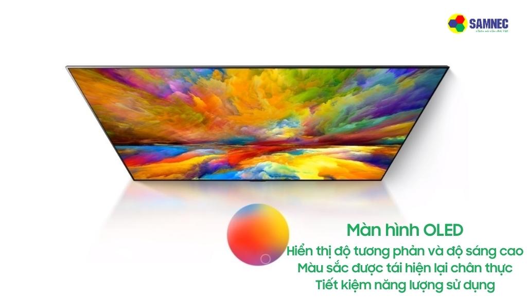 Màn hình OLED của Tivi LG A1PTA