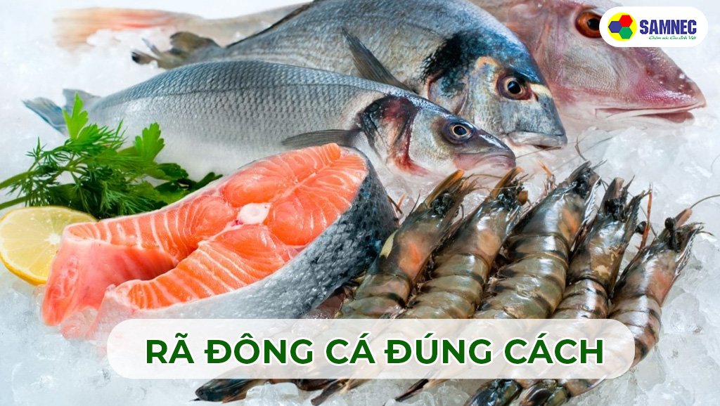 Rã đông cá đúng cách