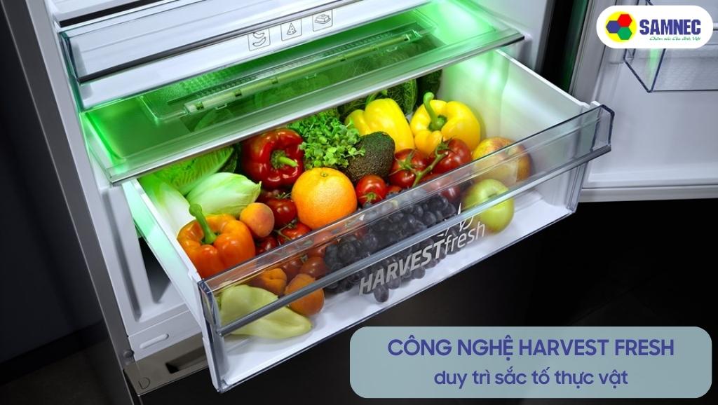Công nghệ Harvest Fresh của tủ lạnh Beko RDNT401I50VDHFSK
