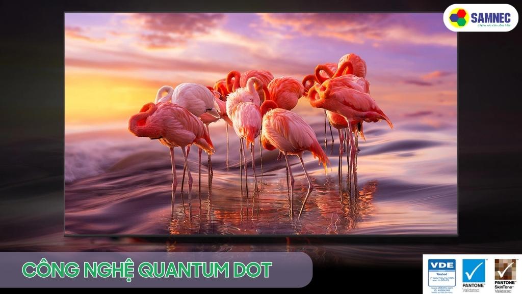 Công nghệ Quantum Dot của tivi Samsung Q60B