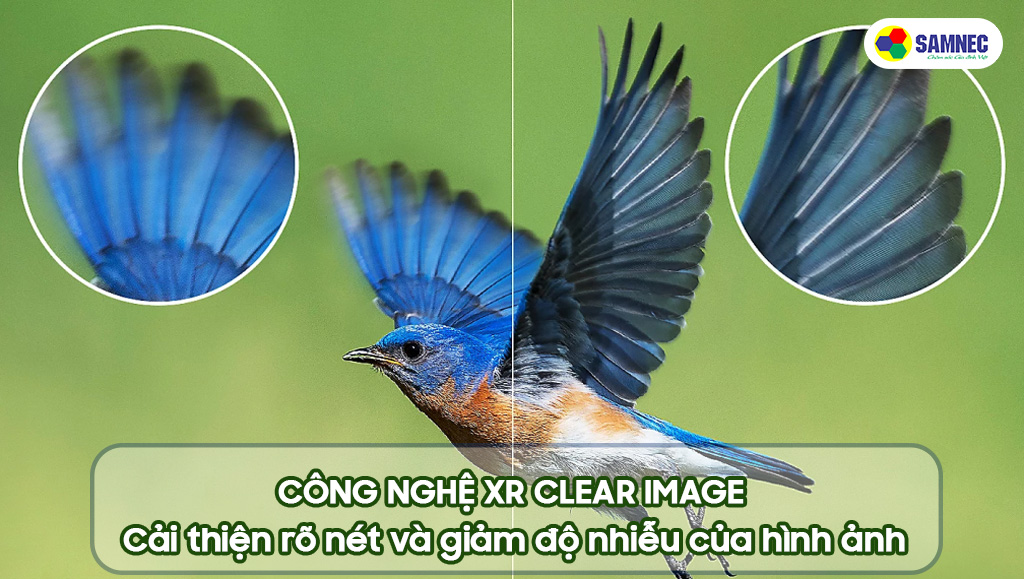 Công nghệ XR Clear Image cải thiện hình ảnh rõ nét trên A95L