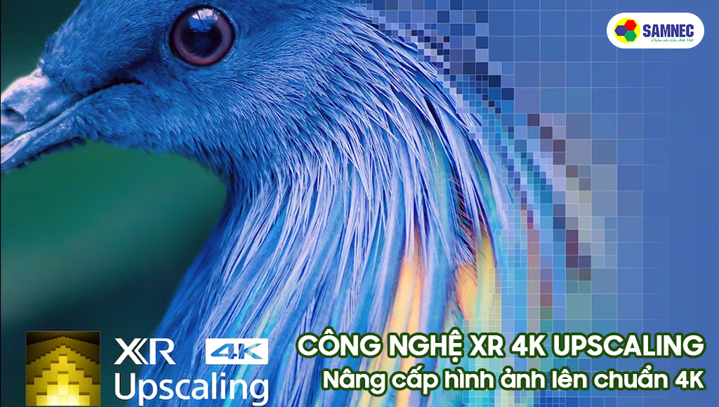 Công nghệ XR 4K Upscaling nâng cấp hình ảnh chuẩn 4K trên A95L
