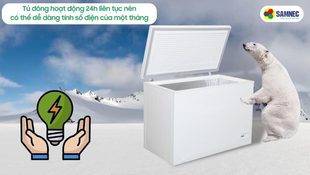 Tiền điện mỗi tháng khi sử dụng tủ đông