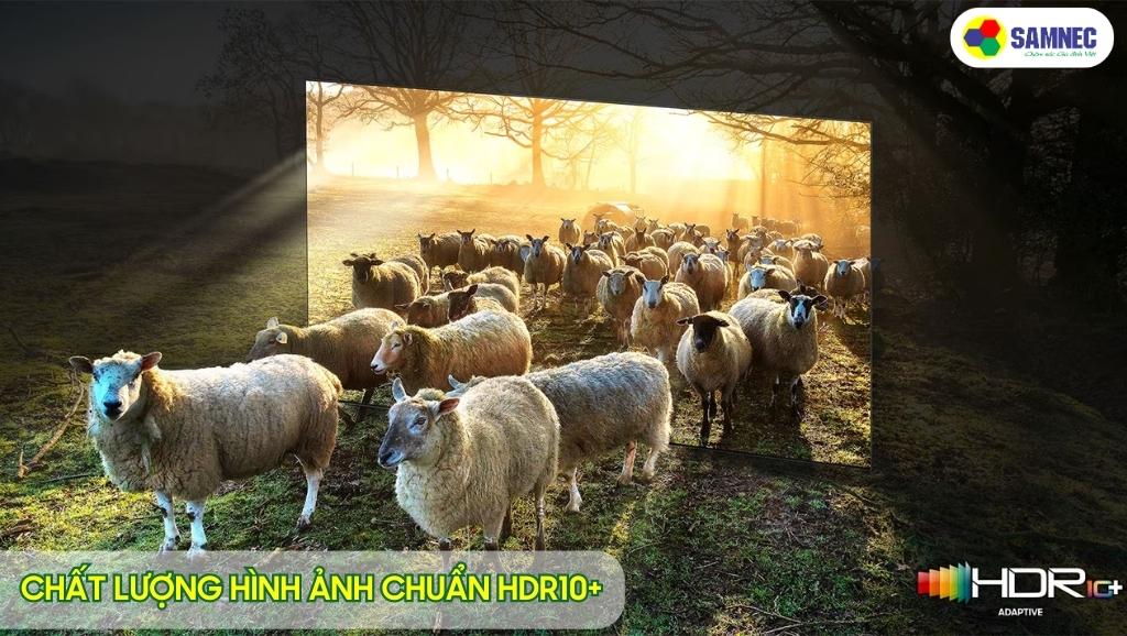 Chất lượng hình ảnh đạt chuẩn HDR10+