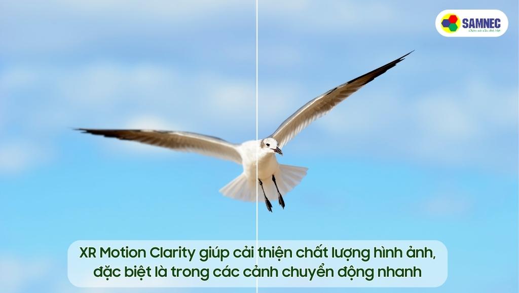 Ưu điểm của công nghệ XR Motion Clarity