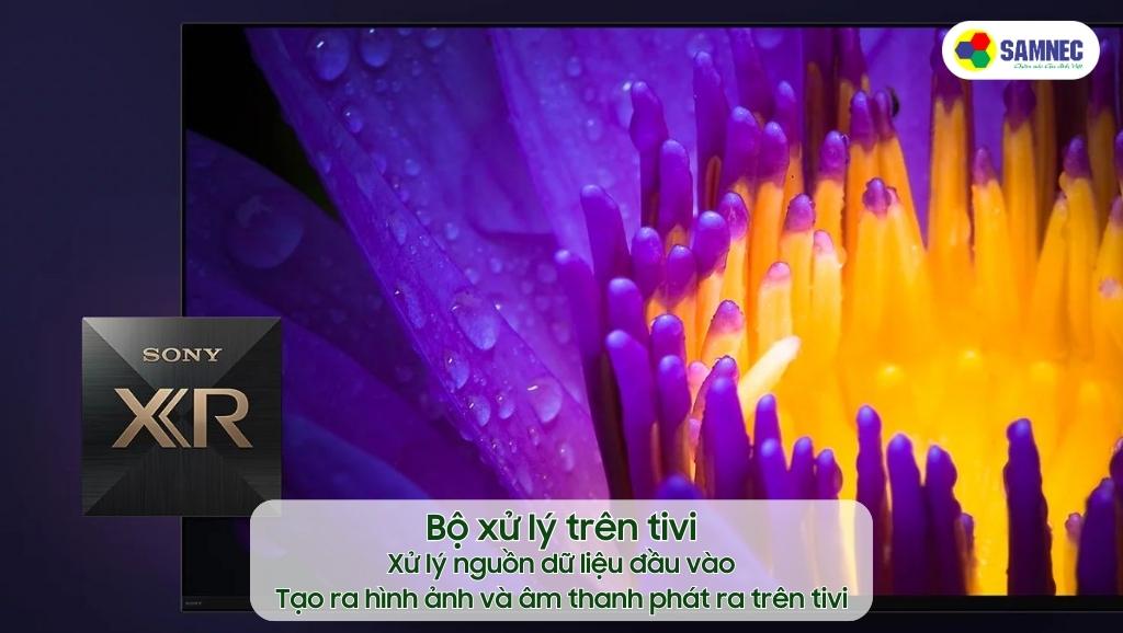 Bộ xử lý của tivi