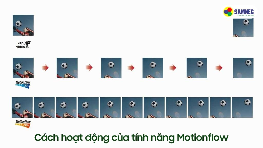 Cách chèn hình ảnh của Motionflow