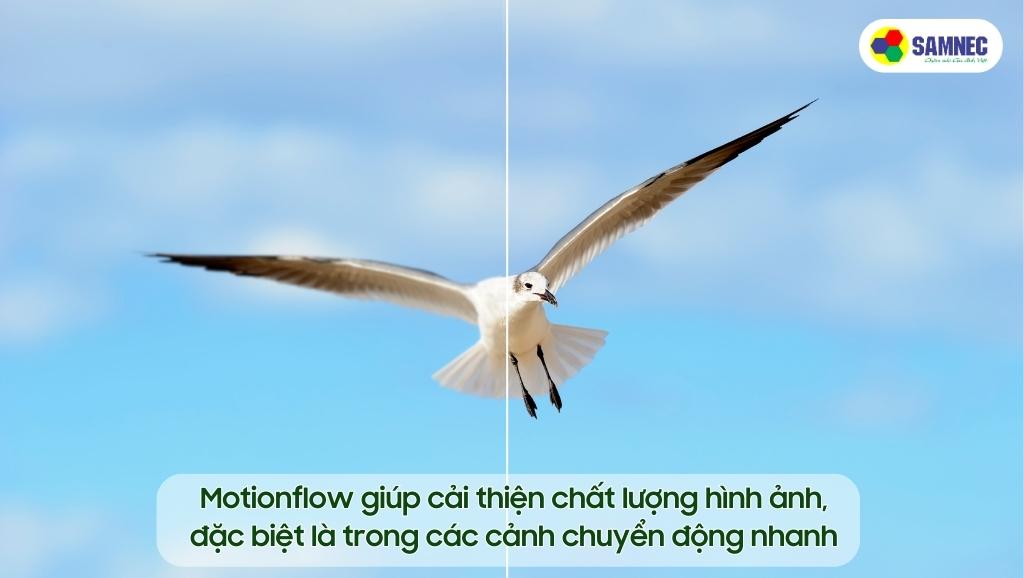 Khả năng cải thiện chất lượng ảnh của Motionflow