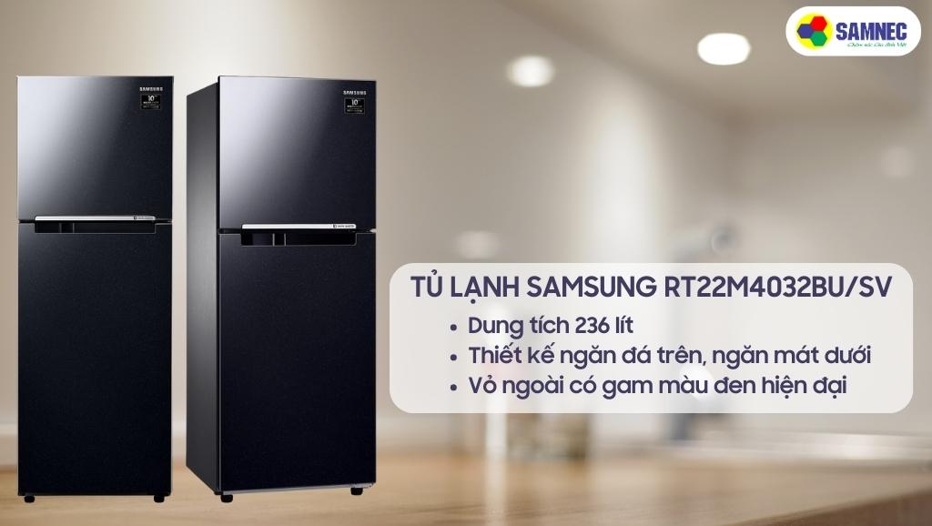 Tủ lạnh Samsung Inverter RT22M4032BU/SV