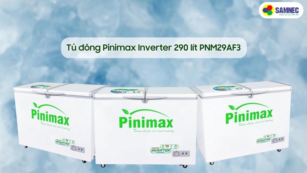 Tủ đông Pinimax Inverter PNM29AF3