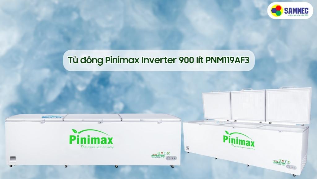 Tủ đông Pinimax Inverter PNM119AF3
