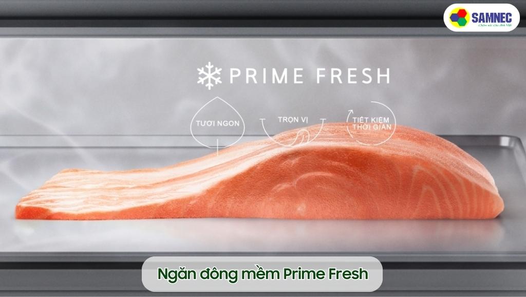 Ngăn đông mềm Prime Fresh trên tủ lạnh Panasonic Inverter NR-BV281BVKV