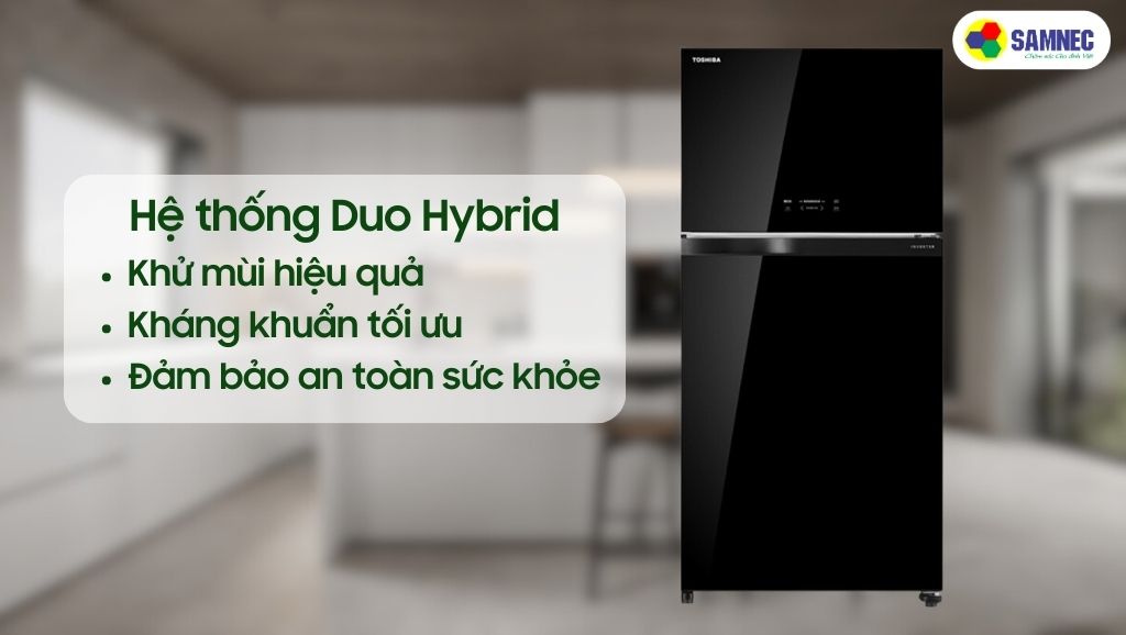 hệ thống Duo Hybrid trên tủ lạnh Toshiba