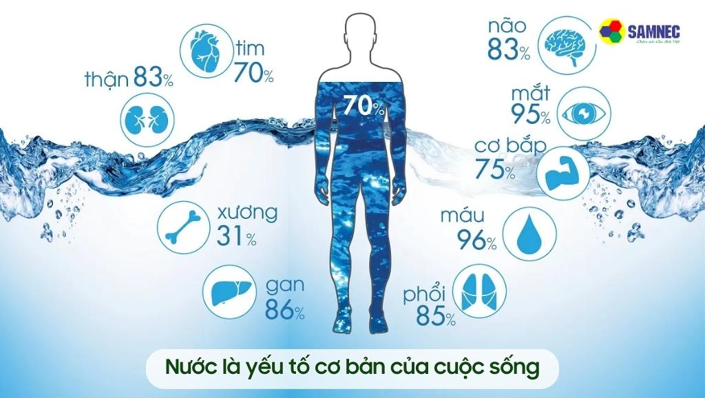 Nước là yếu tố cơ bản của cuộc sống