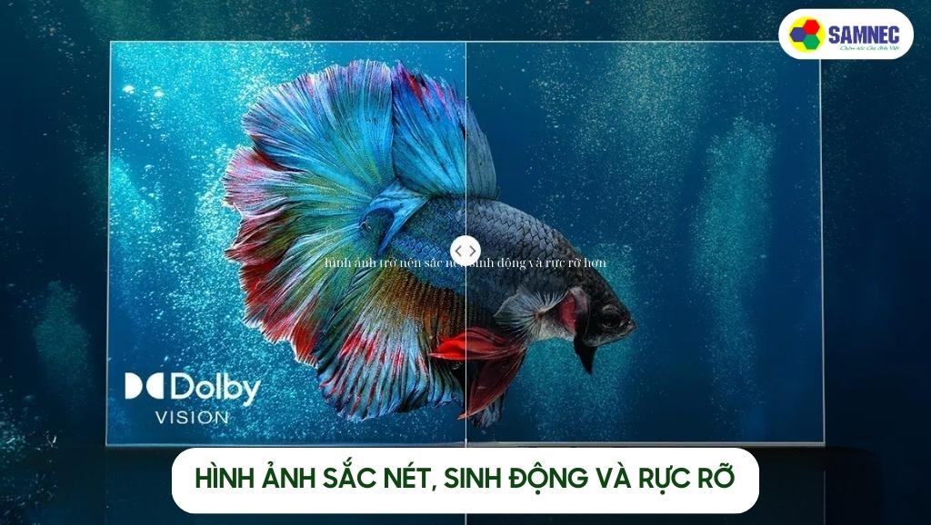 Hình ảnh tivi sắc nét, sinh động và rực rỡ