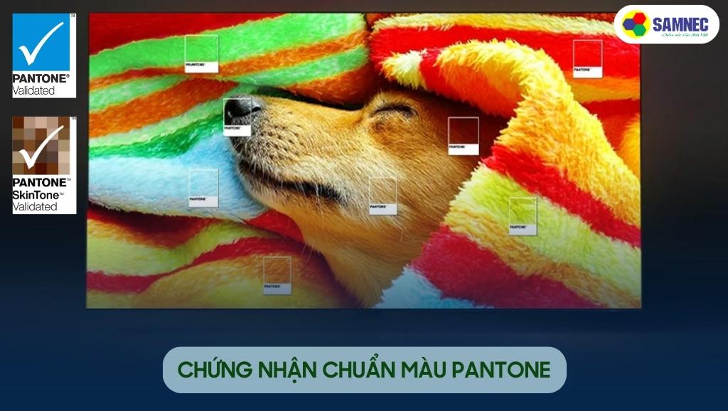 Chứng nhận PANTONE trên tivi Samsung QLED 4K Q63C