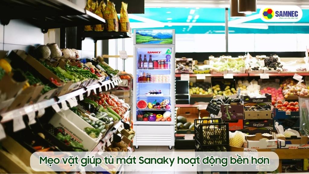 Tủ đông Sanaky cho cửa hàng tạp hóa - Giải pháp lưu trữ an toàn và tối ưu cho kinh doanh của bạn