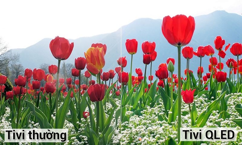 Hình ảnh hoàn hảo