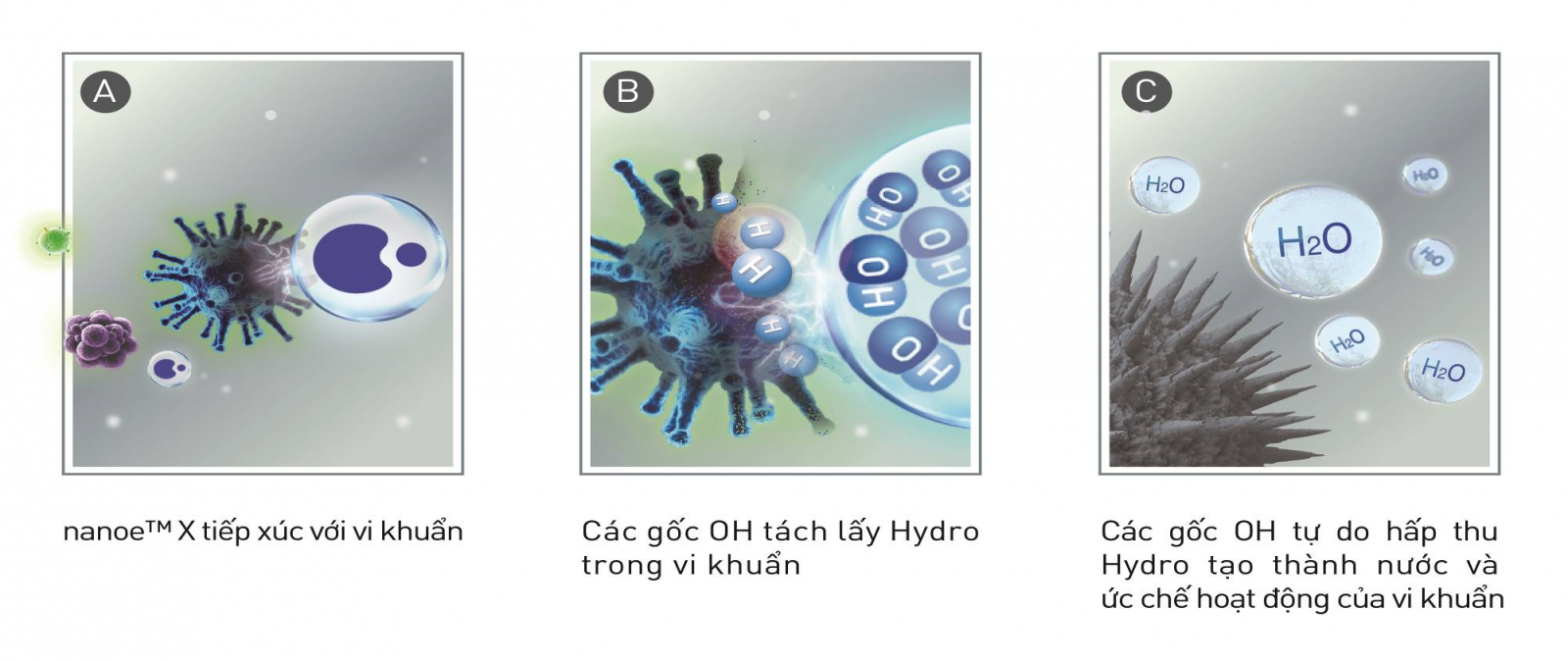 Khả năng thách thức ô nhiễm không khí trong nhà