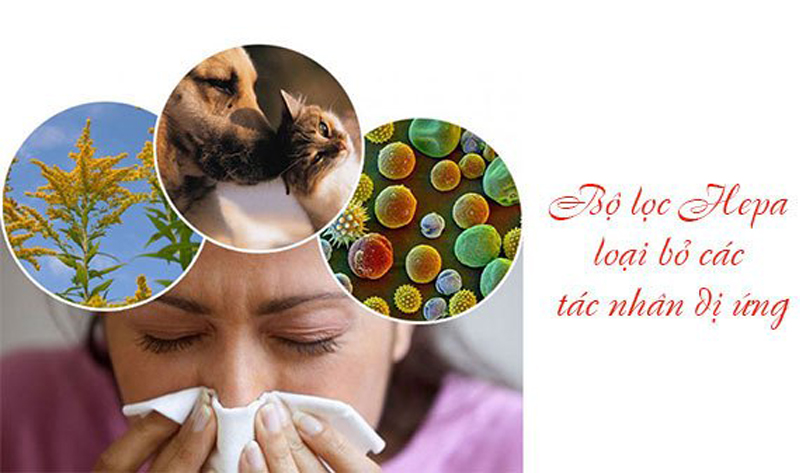 hut-bui-panasonic-mc-cg370gn46-2