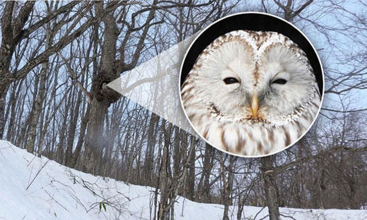 Bắt trọn ngay từng khoảnh khoắc