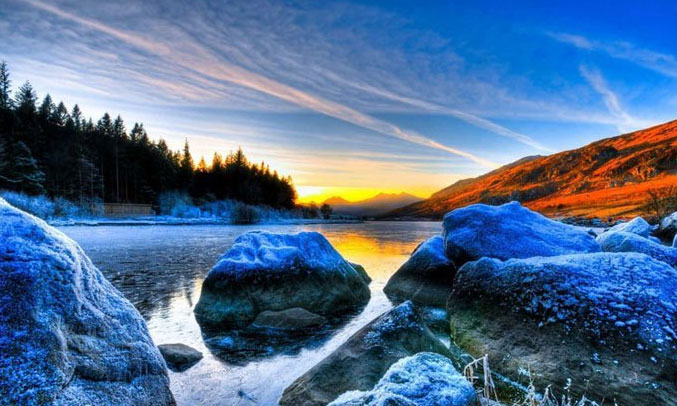 Bất chấp điều kiện