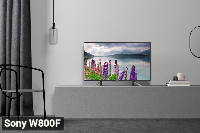 Model Sony W800F