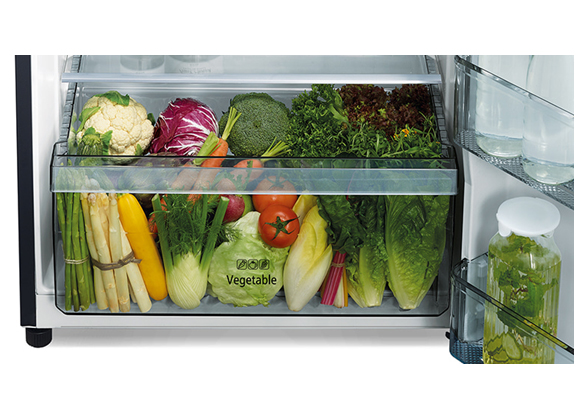 Ngăn rau quả rộng rãi - Samnec ĐIện Máy