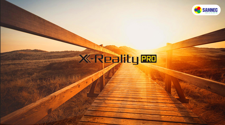x-reality-pro