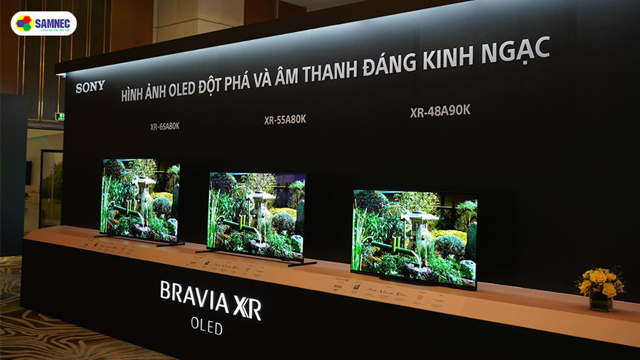 bravia-2022