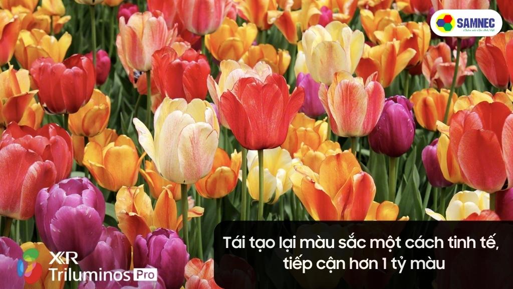 Công nghệ XR Triluminos Pro sử dụng trong tivi Sony X90K