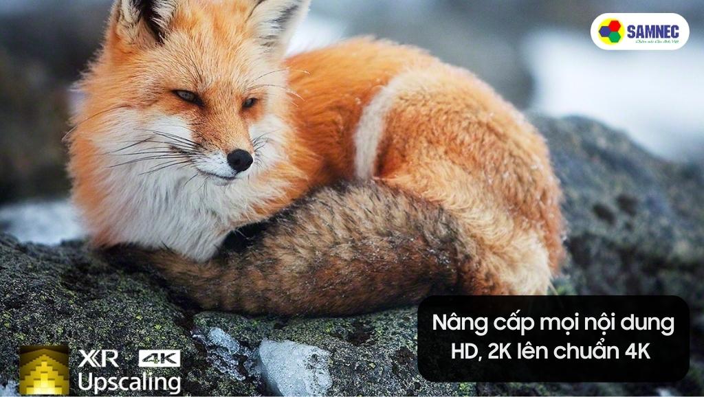 Công nghệ XR 4K Upscaling của tivi Sony X90K nâng cấp chất lượng hình ảnh chuẩn 4K