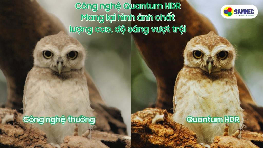 Công nghệ Quantum HDR nâng cấp chất lượng ảnh và độ sáng của Tivi Samsung Q65A