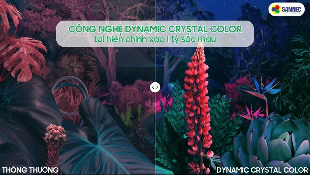 Công nghệ Dynamic Crystal Color tái hiện tỷ sắc màu